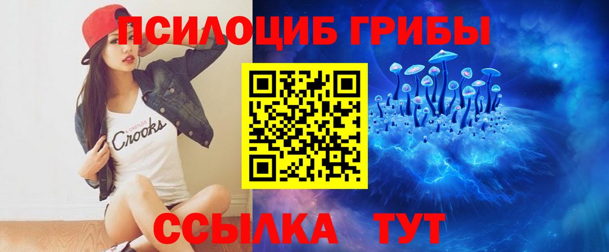 Псилоцибиновые грибы Cubensis  Вход с VPN  Гуково 