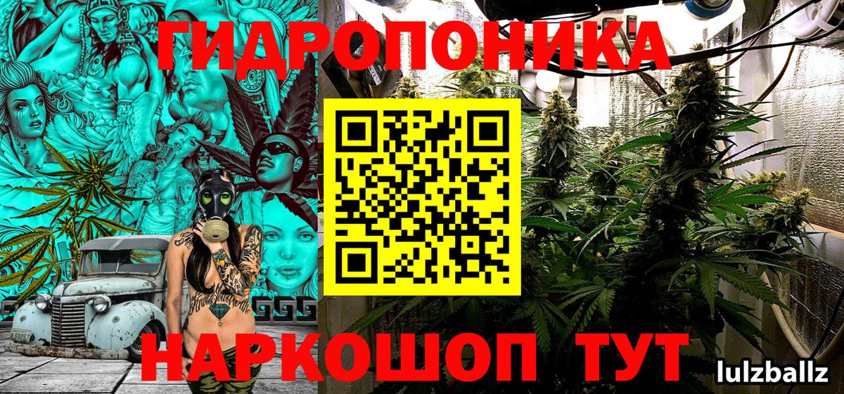 Бошки марихуана White Widow  Вход с VPN  Гуково  Каннабис THC 21%  Марихуана OG Kush  Шишки марихуана семена 